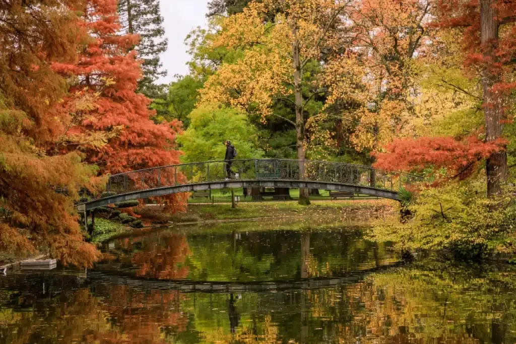 Jardin romantique à Bordeaux à l'automne