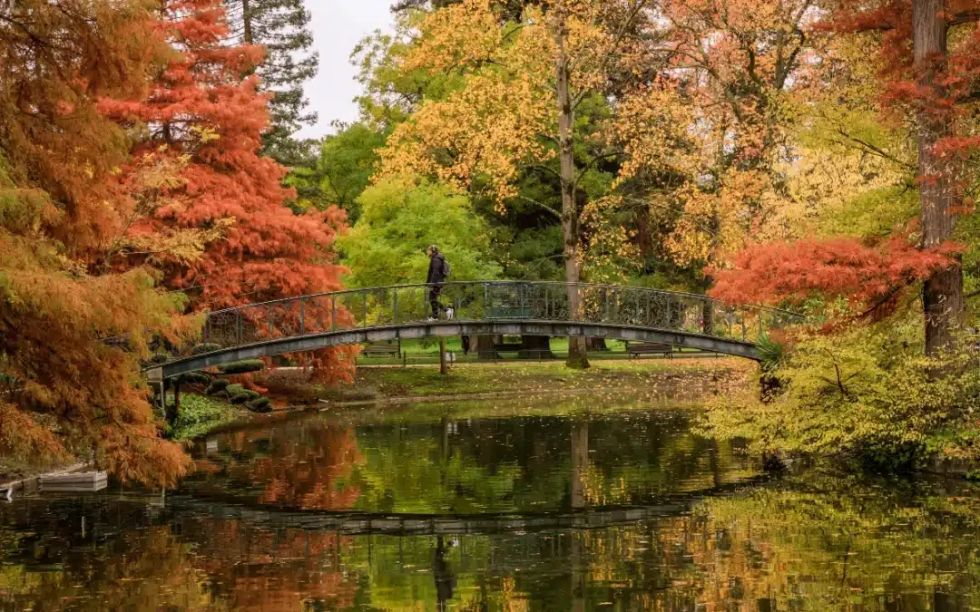 Les plus beaux jardins de Bordeaux à découvrir à deux