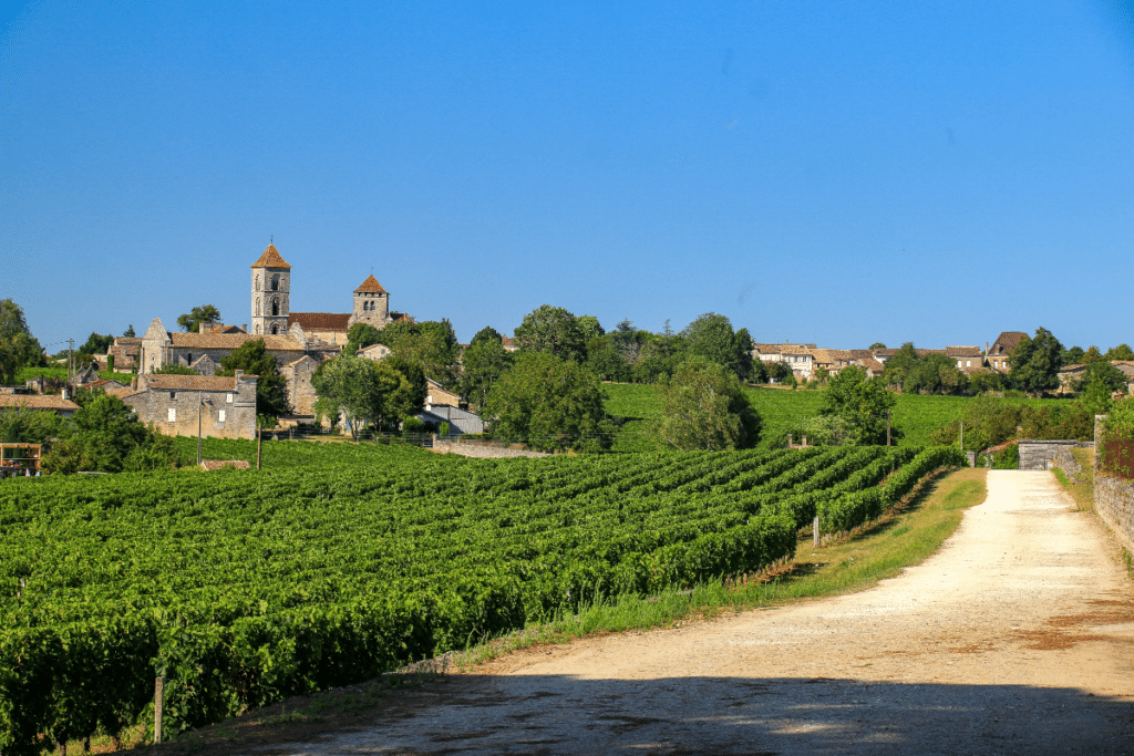 Vue sur les vignobles de Bordeaux